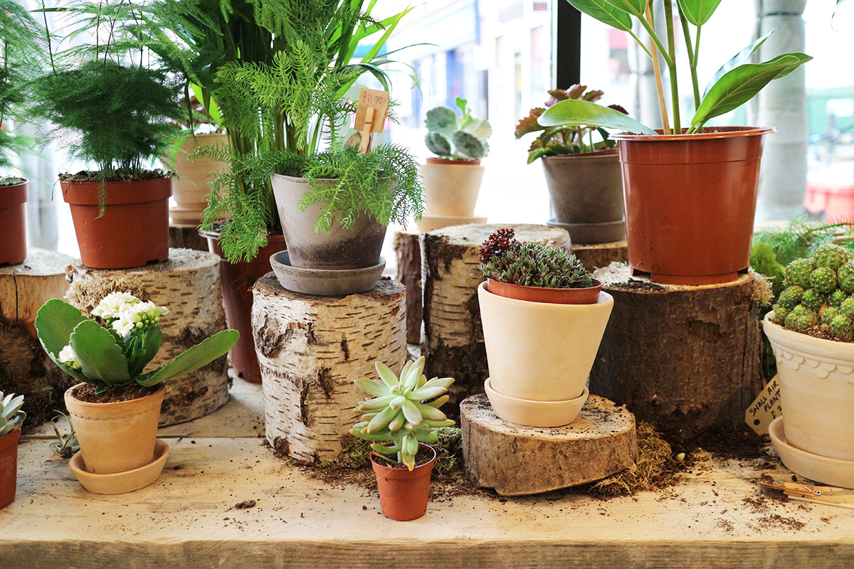 west end wander style